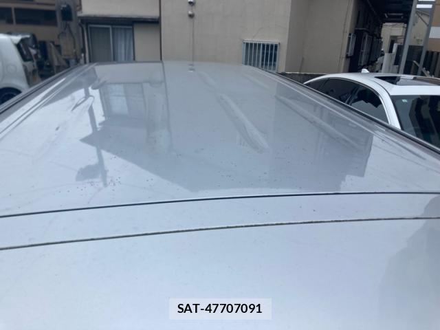 Nissan ELGRAND 2011-07 8873296-13