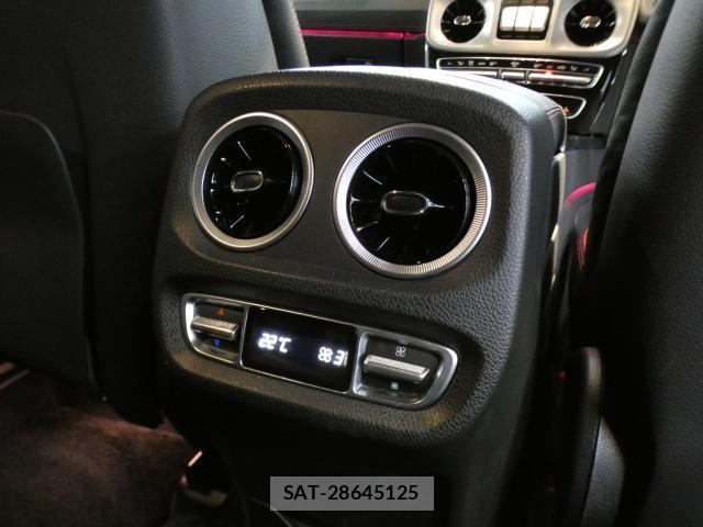 Mercedes Benz G-CLASS 2019-09 8873563-12