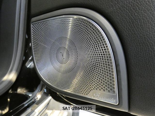 Mercedes Benz G-CLASS 2019-09 8873563-13