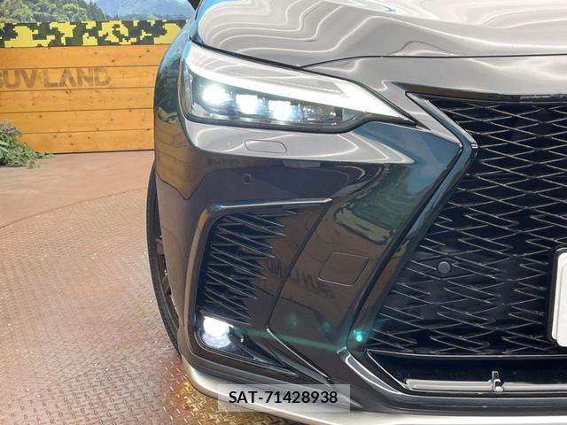 Lexus NX 2025-05 8873498-11