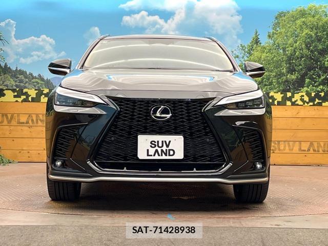 Lexus NX 2025-05 8873498-13