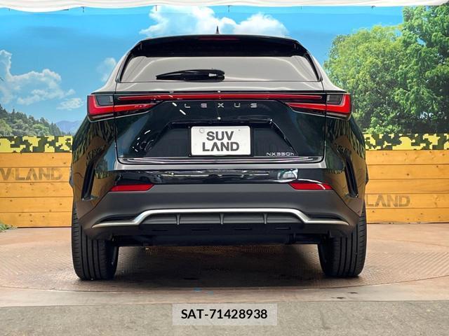 Lexus NX 2025-05 8873498-14