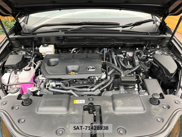 Lexus NX 2025-05 8873498-17