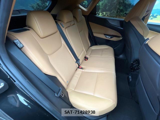 Lexus NX 2025-05 8873498-8