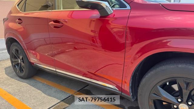 Lexus NX 2017-01 8874490-10