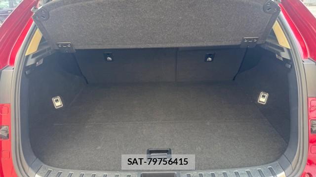 Lexus NX 2017-01 8874490-16