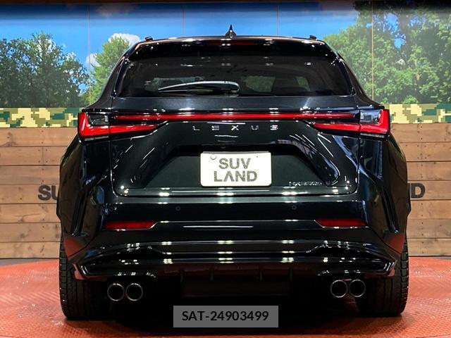 Lexus NX 2023-03 8874711-14