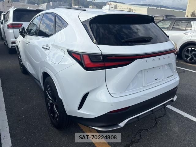 Lexus NX 2023-10 8875130-4