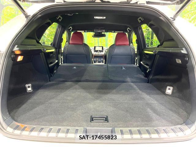 Lexus NX 2014-10 8875187-10