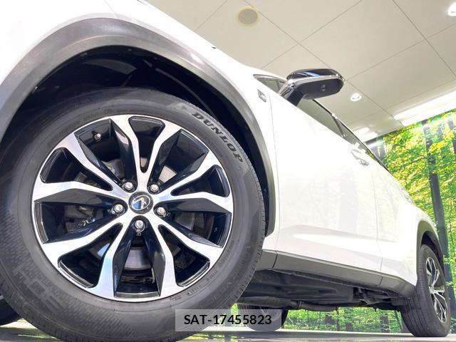 Lexus NX 2014-10 8875187-13
