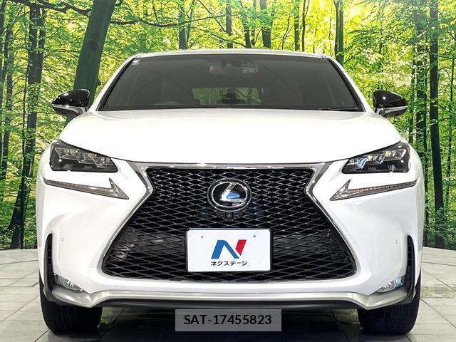 Lexus NX 2014-10 8875187-14