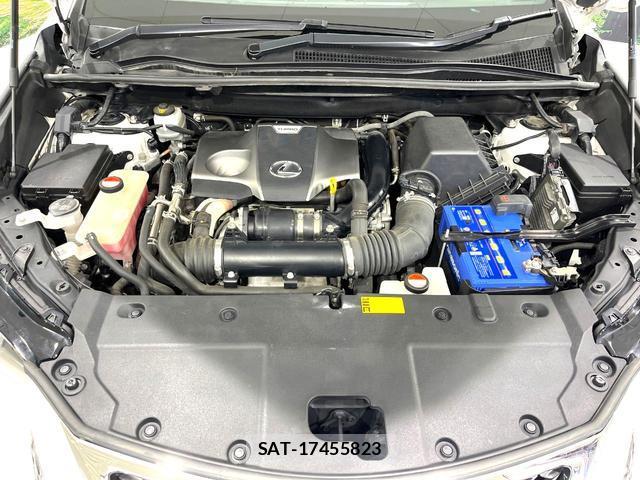 Lexus NX 2014-10 8875187-18