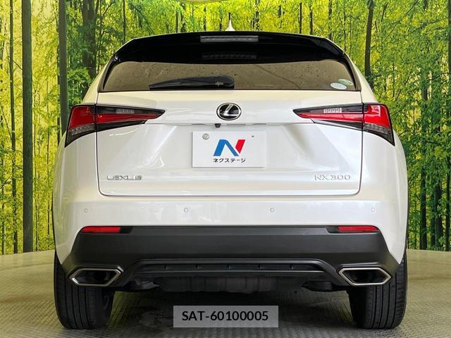 Lexus NX 2017-12 8875626-14