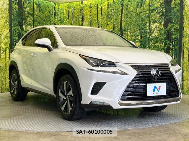 Lexus NX 2017-12 8875626-15