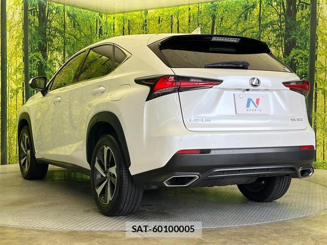 Lexus NX 2017-12 8875626-16