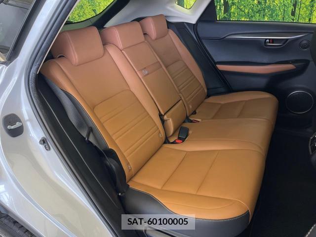 Lexus NX 2017-12 8875626-8