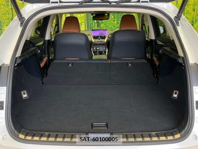 Lexus NX 2017-12 8875626-9