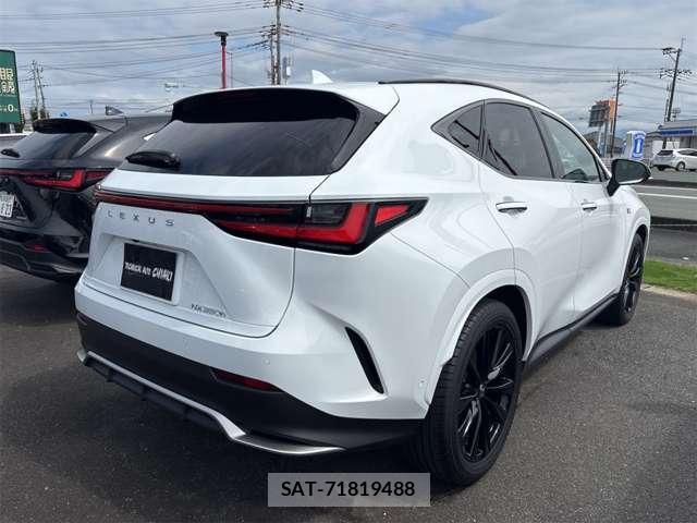 Lexus NX 2024-04 8875762-6