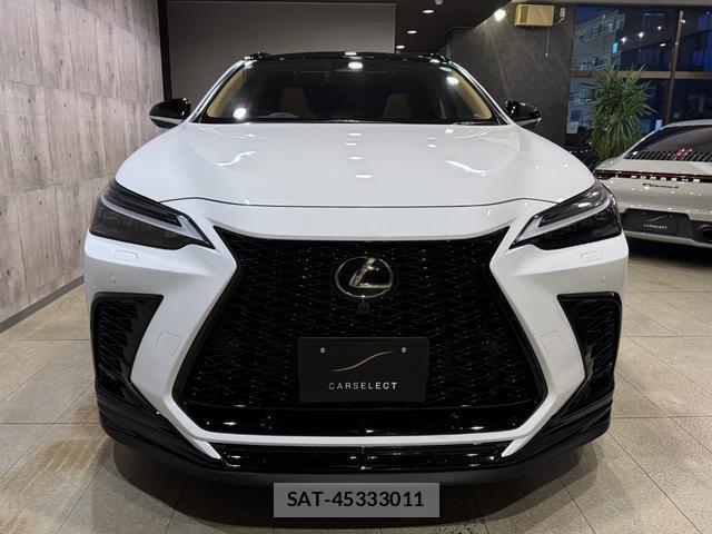 Lexus NX 2024-10 8875876-10