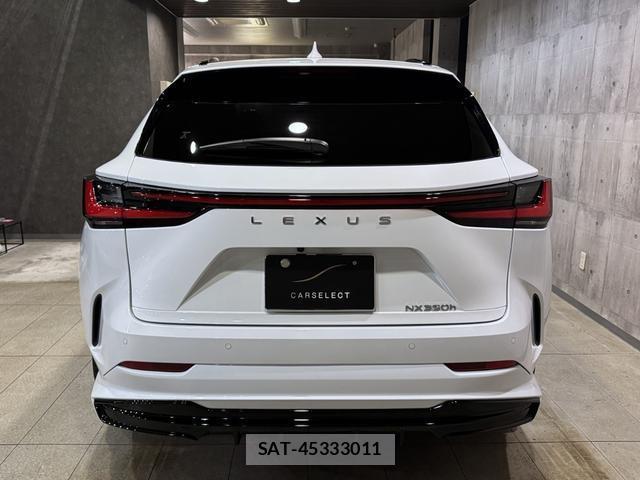 Lexus NX 2024-10 8875876-11