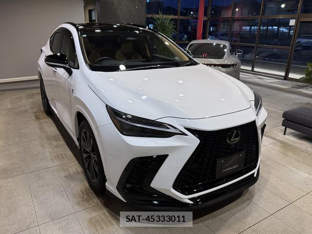 Lexus NX 2024-10 8875876-12