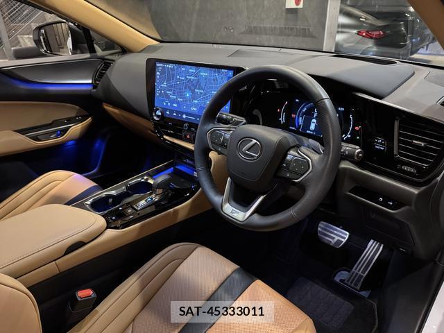 Lexus NX 2024-10 8875876-14