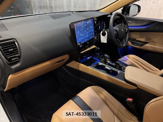 Lexus NX 2024-10 8875876-15