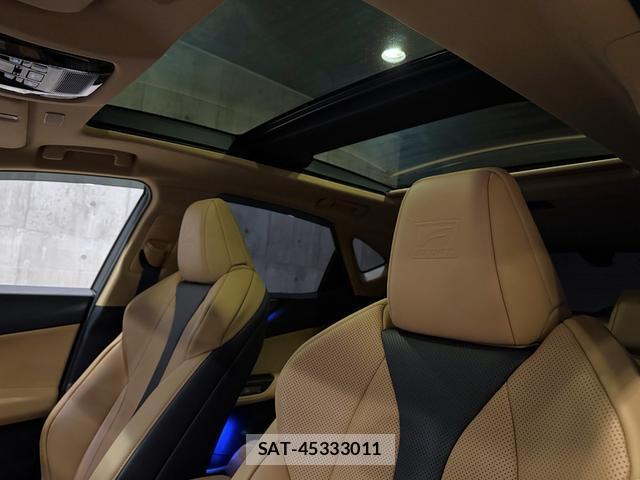 Lexus NX 2024-10 8875876-19