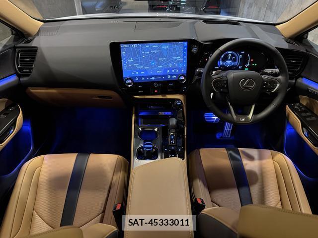 Lexus NX 2024-10 8875876-5