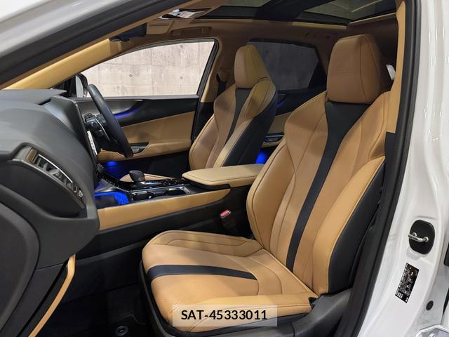 Lexus NX 2024-10 8875876-8