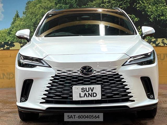 Lexus RX 2023-10 8872880-13