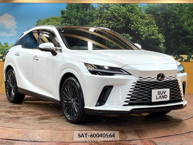 Lexus RX 2023-10 8872880-15