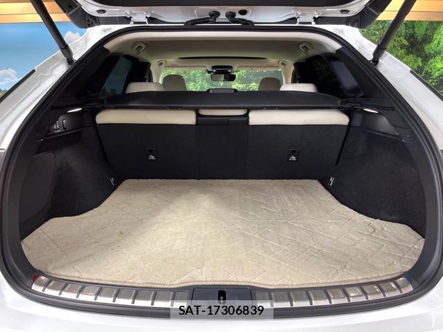Lexus RX 2024-02 8872881-10