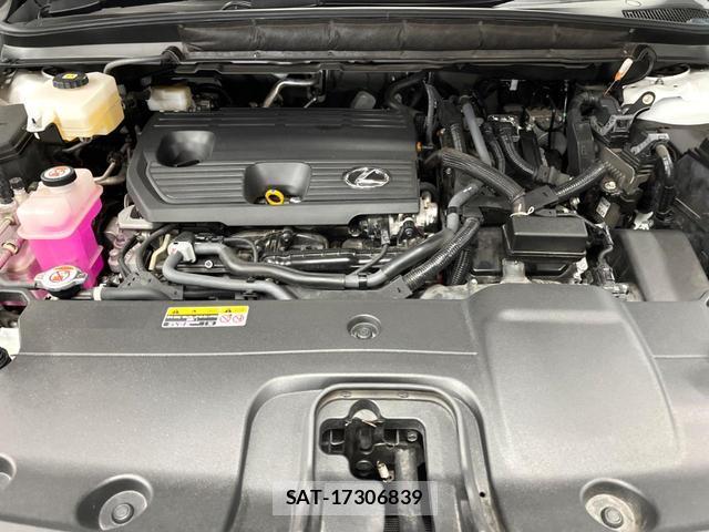 Lexus RX 2024-02 8872881-19