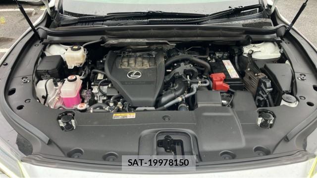 Lexus RX 2023-02 8874441-7