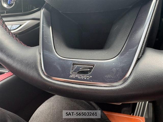 Lexus RX 2023-06 8875209-9