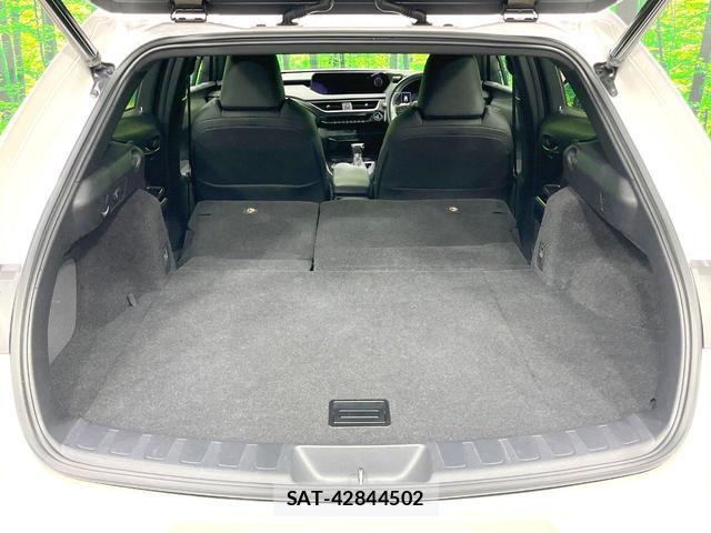 Lexus UX 2021-08 8873121-11