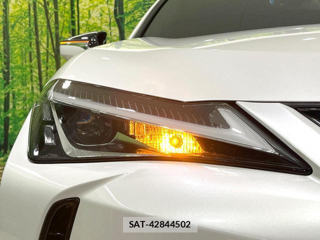 Lexus UX 2021-08 8873121-13