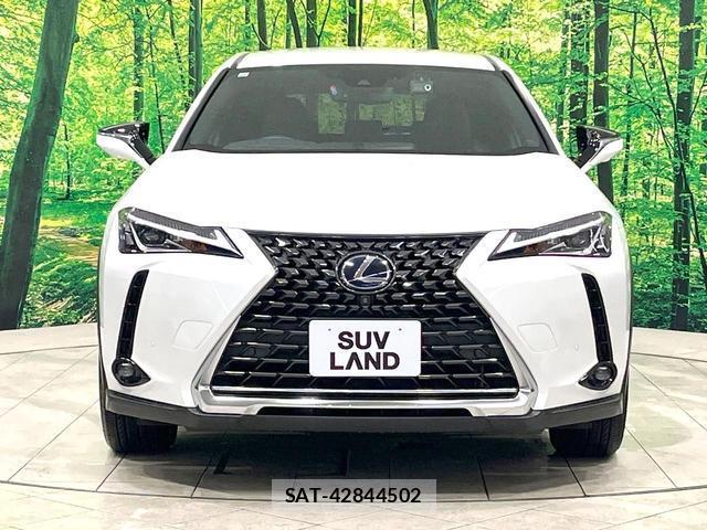 Lexus UX 2021-08 8873121-15