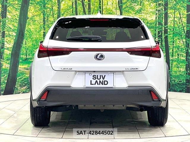 Lexus UX 2021-08 8873121-16
