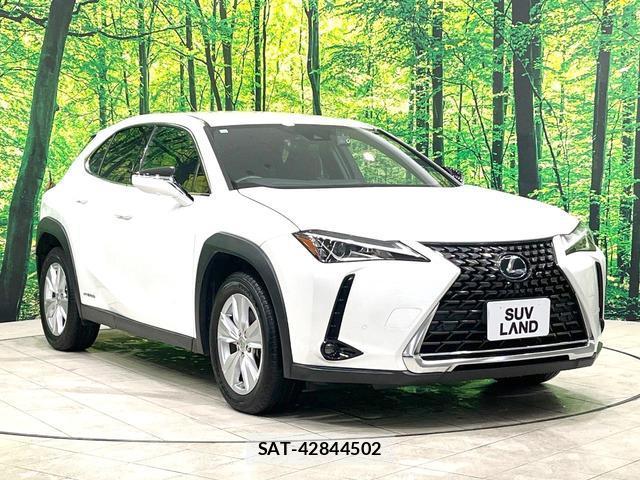 Lexus UX 2021-08 8873121-17