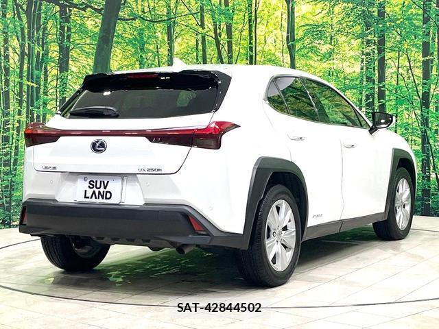 Lexus UX 2021-08 8873121-18