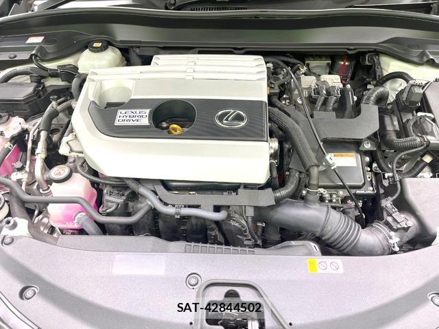 Lexus UX 2021-08 8873121-19