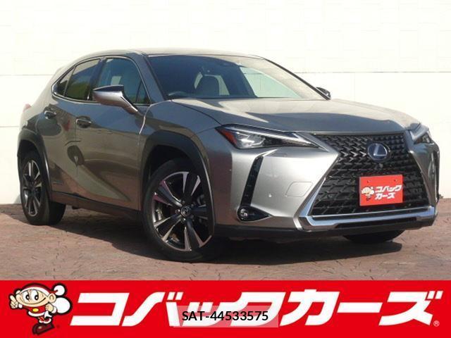 Lexus UX 2019-03 8873845-0