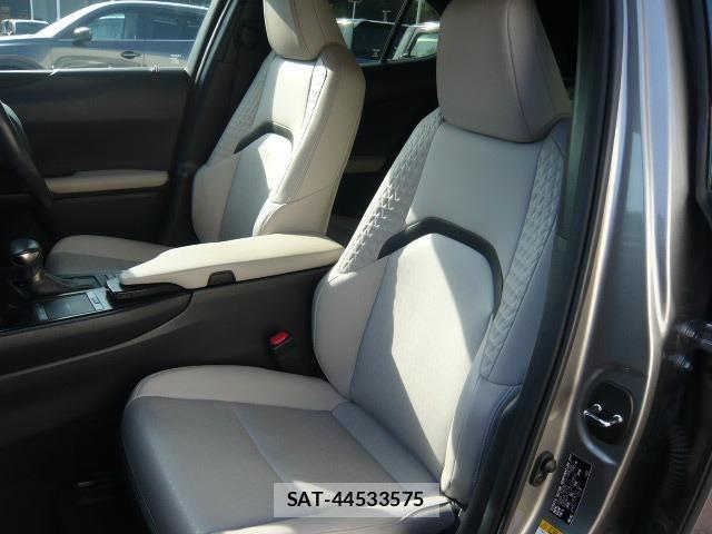 Lexus UX 2019-03 8873845-2