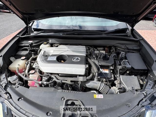 Lexus UX 2019-01 8873848-10