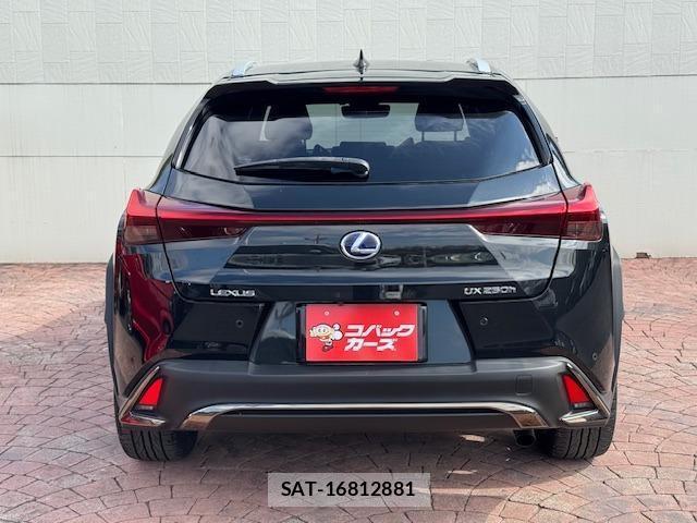 Lexus UX 2019-01 8873848-6
