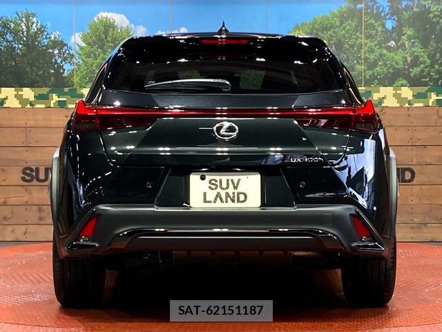 Lexus UX 2025-02 8874713-14