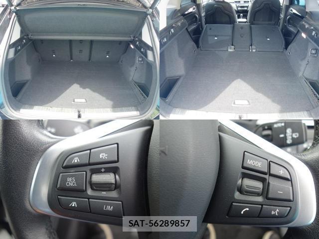 Bmw X1 2019-06 8875121-7