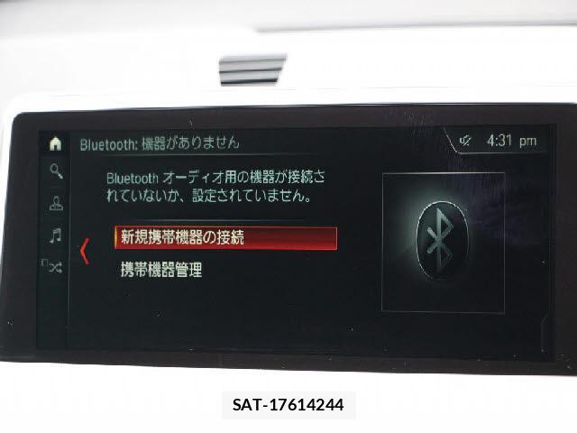 Bmw X1 2019-04 8875708-7